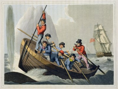 Una barca di una nave che attacca una balena, inciso da Matthew Dubourg, pubblicato da Edward Orme, 1813 da John Heaviside Clark