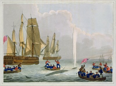 Barche che si avvicinano a una balena, inciso da Matthew Dubourg, pubblicato da Edward Orme da John Heaviside Clark