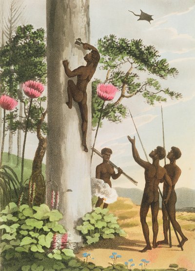 Scalare alberi, aborigeni nel Nuovo Galles del Sud inciso da Matthew Dubourg (fl.1813-1820) pub. 1813 da John Heaviside Clark