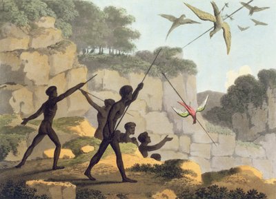 Lancio della lancia, aborigeni che cacciano uccelli dal Nuovo Galles del Sud inciso da Matthew Dubourg (f.1813-1820) pub. 1813 da John Heaviside Clark