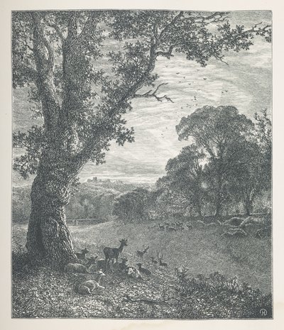 Cervi intorno a un albero, Nature Pictures, Una serie di trenta illustrazioni originali disegnate su legno da J. H. Dell, e incise da R. Paterson da John Henry Dell