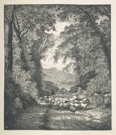 Pecore guidate da un pastore lungo un sentiero, Nature Pictures, Una serie di trenta illustrazioni originali disegnate su legno da J. H. Dell, e incise da R. Paterson da John Henry Dell