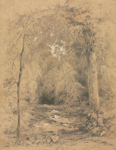 Interno della foresta, c. 1870 da John Henry Hill
