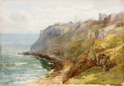 Priorato di Tynemouth da John Henry Mole