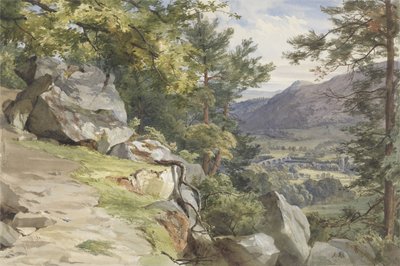 Veduta di Craig-y-Barns, Dunkeld, guardando a sud, 1855 da John Henry Mole