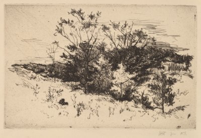 Autunno ad Avondale da John Henry Twachtman