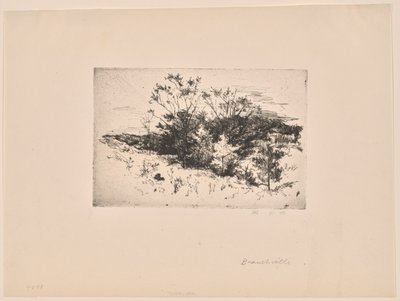 Paesaggio d