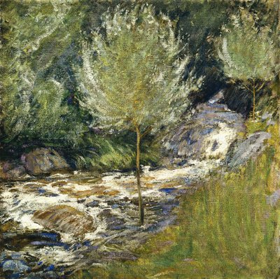 Cascate di Horseneck, Greenwich, Connecticut da John Henry Twachtman