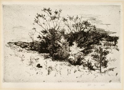 Paesaggio vicino a Cincinnati da John Henry Twachtman