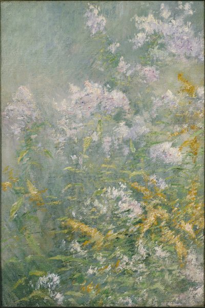 Fiori di campo (Golden Rod e Wild Aster) da John Henry Twachtman