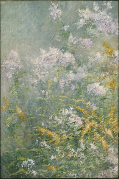 Fiori di prato (Verga d