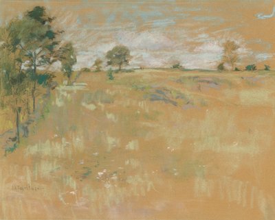 Weiden, Branchville, Connecticut da John Henry Twachtman