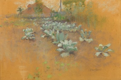 Campo di tabacco, c. 1895-1899 da John Henry Twachtman