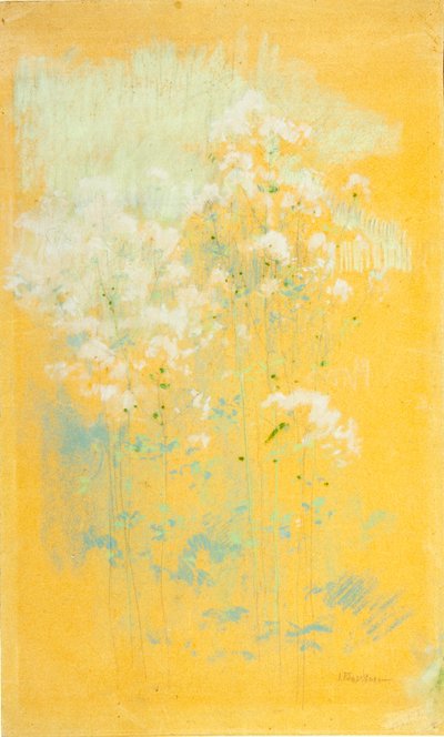 Fiori selvatici da John Henry Twachtman