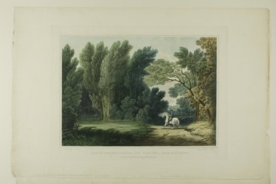 Vista del luogo dove cadde il generale Ross, vicino a Baltimora, tavola sei del primo numero di Vedute pittoresche del paesaggio americano da John Hill