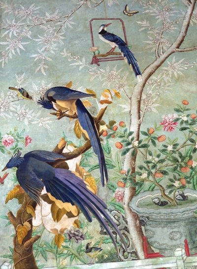 Una coppia di ghiandaie magpie ritagliate da 