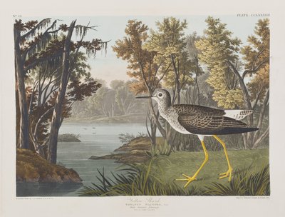 Illustrazione da 