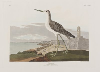 Illustrazione da 