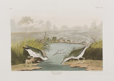 Illustrazione da 