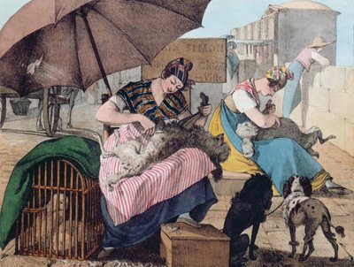 Tosatori di cani sul Pont-Neuf da John James Chalon