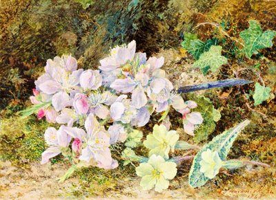 Fiori di mandorlo e primule, 1868 da John Jesson Hardwick