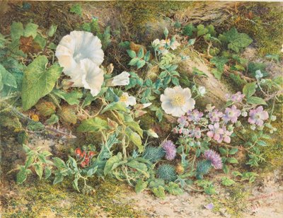 Studio di fiori, 1866 da John Jessop Hardwick