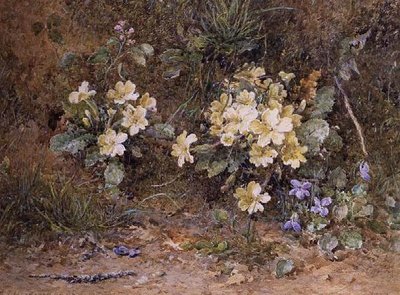 Primule e violette su una riva muschiosa da John Jessop Hardwick