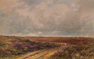 Giornata tempestosa su un comune del Surrey da John Jessop Hardwick
