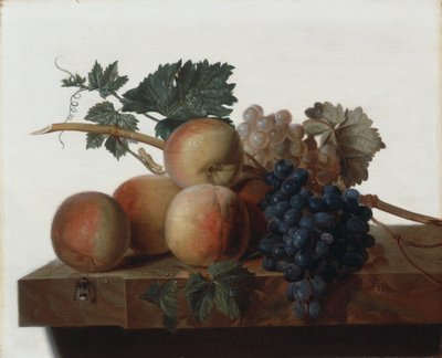 Natura morta da John Johnston