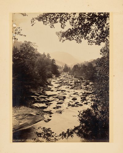 Sul torrente Hickory Nut, Carolina del Nord da John K. Hillers