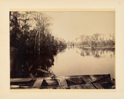 Silver Springs, Florida, vista verso monte da John K. Hillers