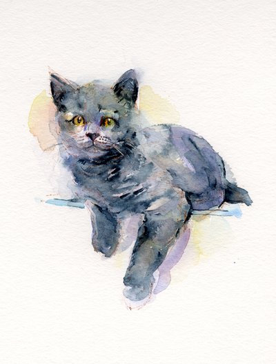 Gattino grigio da John Keeling