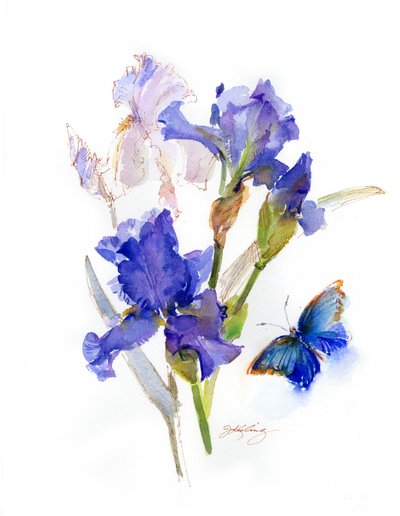 Iris con farfalla blu da John Keeling