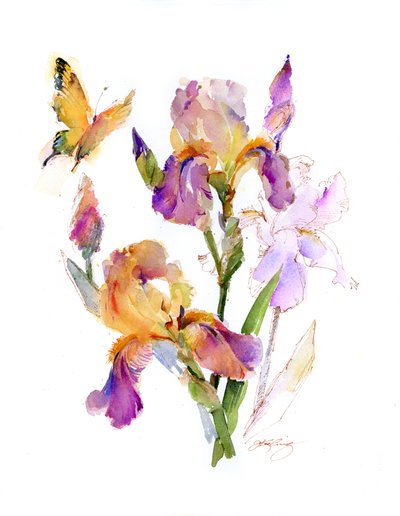 Iris con farfalla gialla da John Keeling