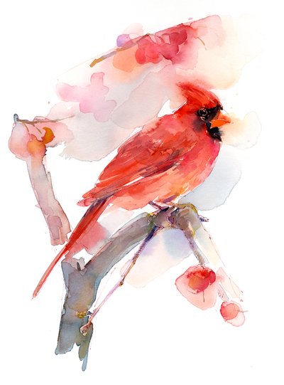Cardinale rosso da John Keeling