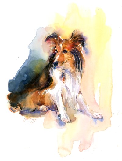 Ritratto di Sheltie da John Keeling