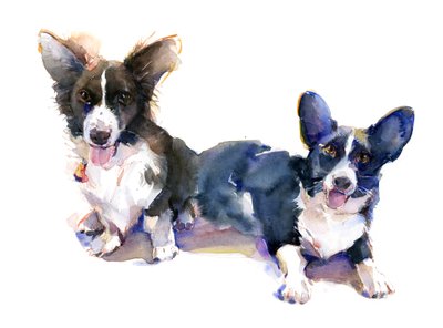 Due Corgi da John Keeling
