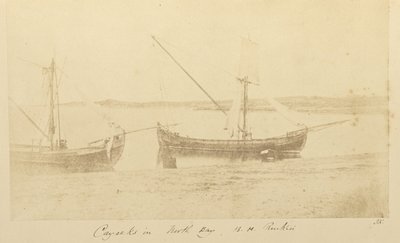 I caicchi nella Baia del Nord, B.H. Renkioi da John Kirk