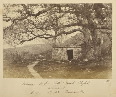 Querce di Valonea con cappella greca sovrastante. B.H. Renkioi, Dardanelli da John Kirk