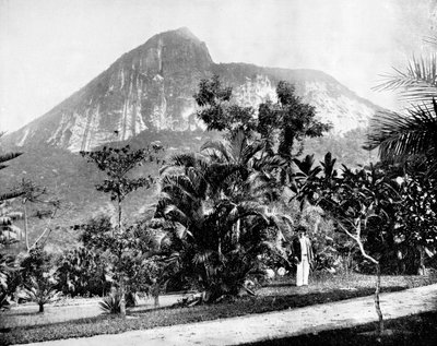 Giardini botanici e Monte Corcovado, Rio de Janeiro, Brasile, 1893 da John L. Stoddard