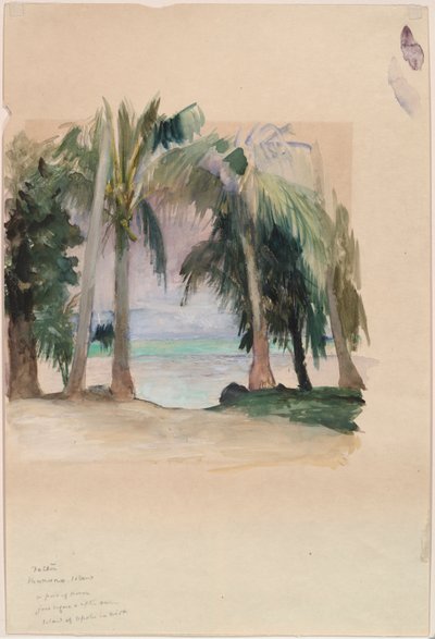 Palme sul mare da John La Farge