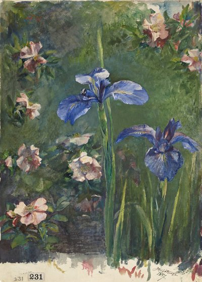 Rose selvatiche e iris da John La Farge