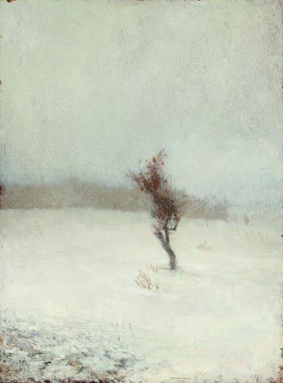 Tempesta di neve 1865 da John La Farge or Lafarge