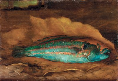 Studio del Pesce Pappagallo, Samoa da John La Farge or Lafarge