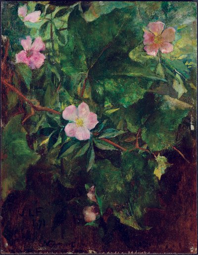 Rosa selvatica e vite, studio dalla natura, 1871 da John La Farge or Lafarge