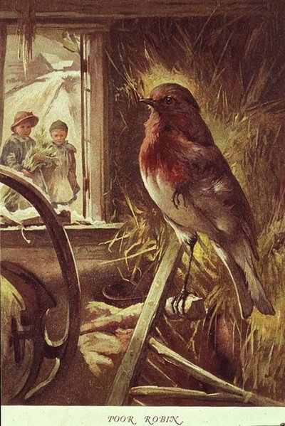 Povero Robin, illustrazione da 
