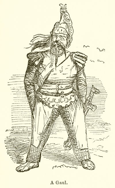 Un gallo da John Leech