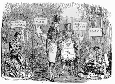 Specimens from Mr Punchs industrial exhibition of 1850 da John Leech