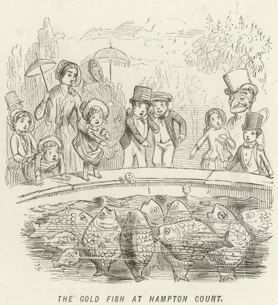 Il pesce rosso a Hampton Court da John Leech