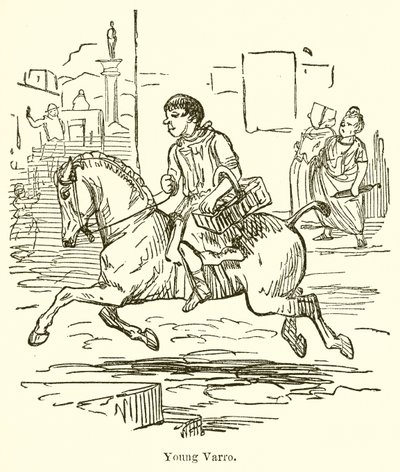 Giovane Varro da John Leech